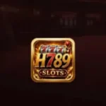H789 Game